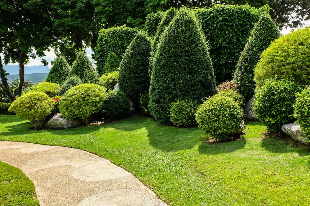 Landscapers